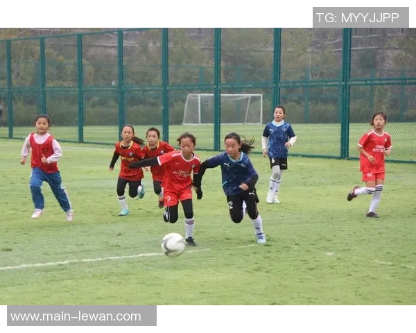 足球在我心中燃烧的激情与梦想的旅程